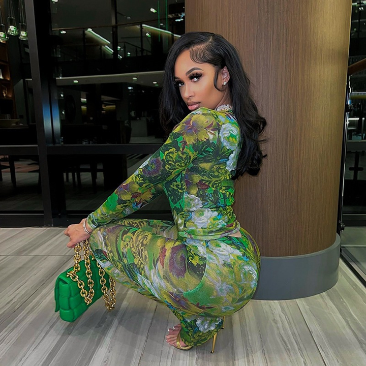 Floral Print Mesh Long Sleeve Two Piece Set