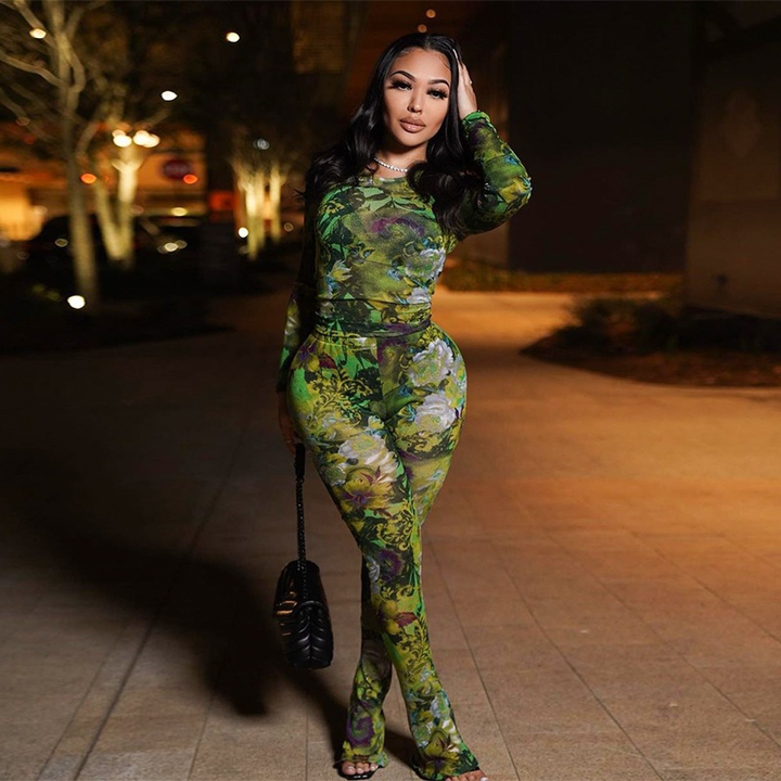 Floral Print Mesh Long Sleeve Two Piece Set